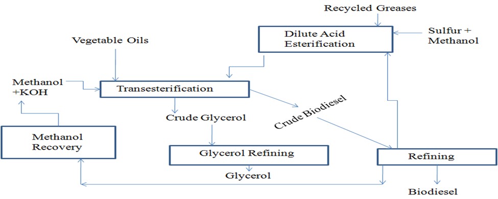 Transesterification process Block Diagram