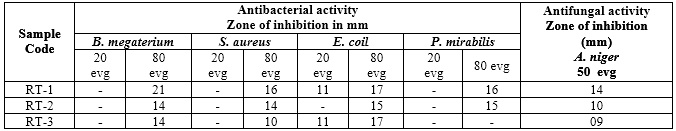negative bacteria in DMF