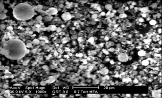 Figure of SEM Photograph of alkali activated Fly Ash