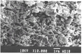 Figure of SEM image of Lead adsorbed CuO sample at high resolution