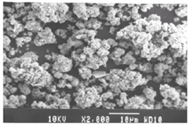 Figure of SEM image of Lead adsorbed NiO sample at low resolution