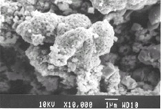 Figure of SEM image of Lead adsorbed NiO sample at high resolution