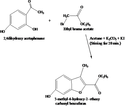 Fig: Reaction of reparation of 3-methyl-6-hydroxy-2-ethoxy carbonyl benzofuran