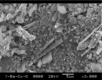 Fig: SEM image for the gold coated sample (X 3000 magnification).