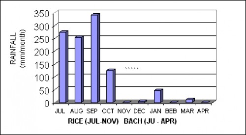 Monthly rainfall during the crop growth period of rice (Oryza sativa) and bach (Acorus calamus)