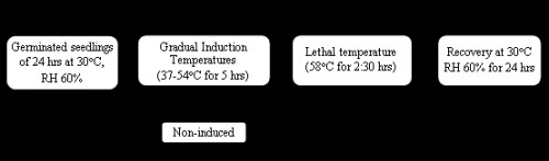Protocol of the technique: Temperature Induction Response (TIR)