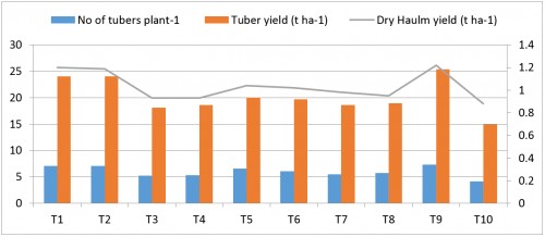 Effect of treatments on yield components and yield of potato
