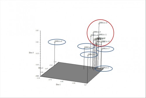 3-D plot derived based on PCA analysis of molecular data of 17 accessions of <em>C. asiatica </em>using SSR markers