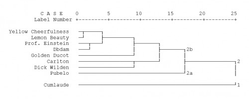 Dendrogram showing clustering pattern of 9 daffodil cultivars based on 14 morphological and bulbous traits constructed using complete linkage Euclidean distance method