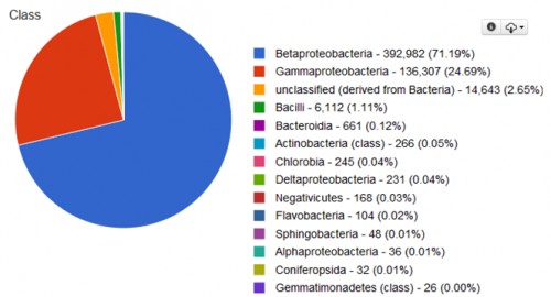 Abundance of gut bacterial community at class level