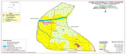 Land suitability map for cashew in Bharatnur-3 MWS