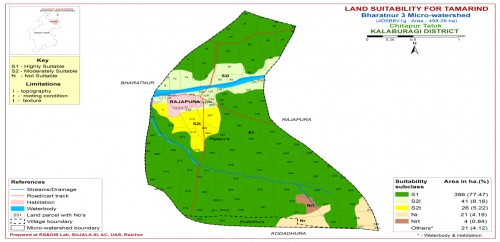 Land suitability map for tamarind in Bharatnur-3 MWS