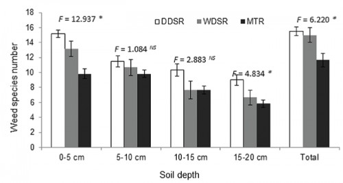 Number of riceâ€™s companion weed species observed in soil samples with different soil depths of different fields with different rice planting systems. DDSR: dry direct-seeded rice, WDSR: Water direct-seeded rice and MTR: machine-transplanted rice [Source: Chen <em>et al</em>., 2017]