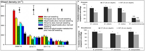 Impacts of six weed control strategies: manual weeding, paraquat plus manual weeding, glyphosate plus manual weeding, atrazine plus manual weeding, atrazine + glyphosate + manual weeding, and atrazine + glyphosate + metolachlor plus manual weeding on weed density (in m<sup>âˆ’2</sup>) [Muoni <em>et al</em>., 2014]