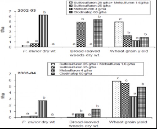 Effect of herbicides on weeds (<em>P. minor</em> and broad-leaved) and wheat productivity in ZT during 2002â€“2003 and 2003â€“2004 [Source: Chhokar <em>et al</em>., 2007]