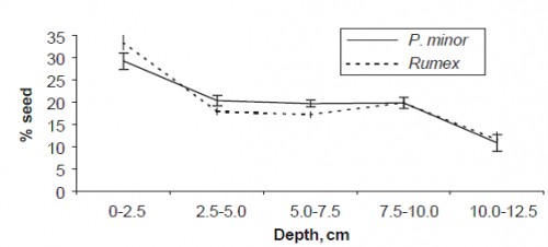 Effect of puddling on seed distribution of <em>P. minor</em> and <em>R. dentatus </em>[Source: Chhokar <em>et al</em>., 2007]