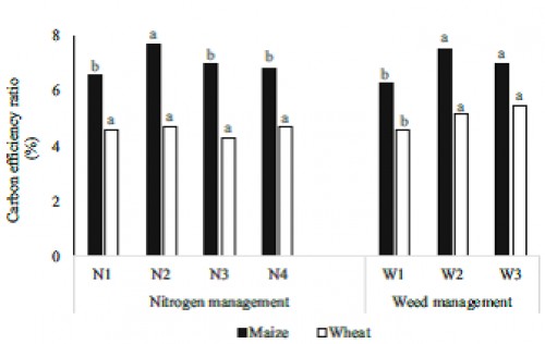Carbon efficiency ratio (CER) in the maizeâ€“wheat system as affected by N and weed management [Source: Oyeogbe <em>et al</em>., 2017]