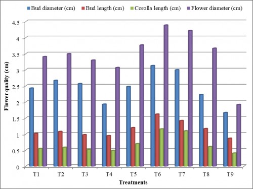 Effect ofdifferent levels of fertigation and foliar spray of micronutrients on flower quality parameters