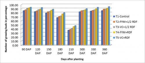 Number of growing buds on days after planting per plot (%)