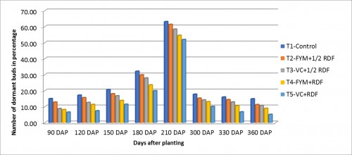 Number dormant buds on days after planting per plot (%)