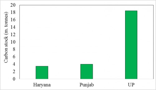 Carbon stock in different states of Northern India (FSI, 2013); Note that data presented for UP consist of overall value not just for the northern region.