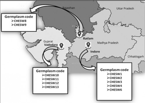 The location of the wood apple genotypes sample used in the study.